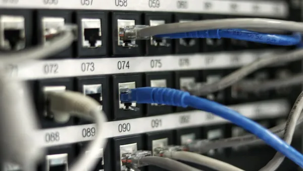 Why Your Tanzanian Business Needs Fast, Reliable Web Hosting